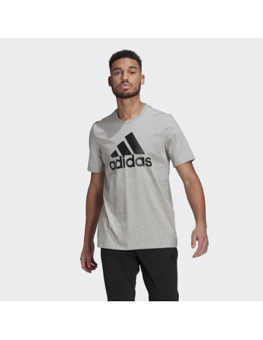 Adidas camiseta Essentials Big Logo