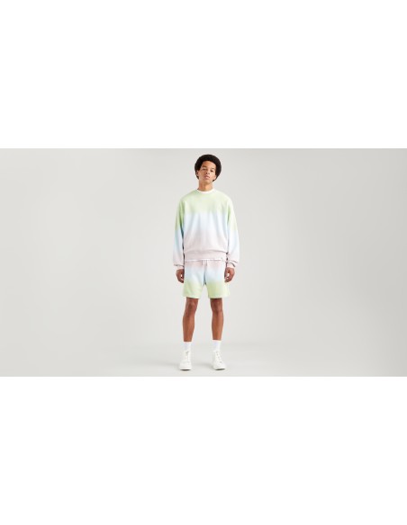 100% cotton fleece sweatshirt, round neck and multicolored, unisex Levi's brand. Complete view.