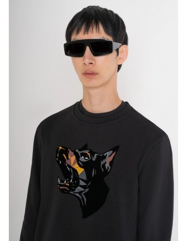 Regular fit cotton blend sweatshirt...