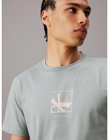 Calvin Klein Graphic Logo T-Shirt