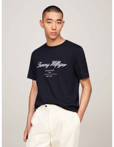 Camiseta con logo bordado de Tommy...