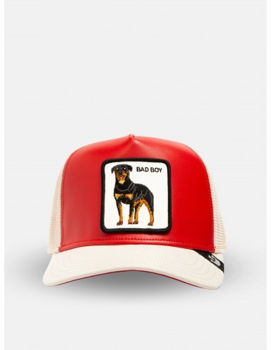 Gorra de camionero Leather Boy de Goorin