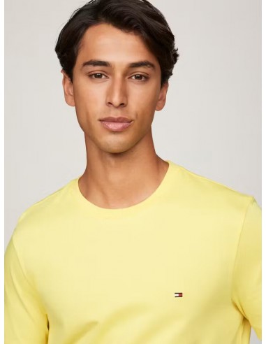 Camiseta con logo bordado de Tommy...