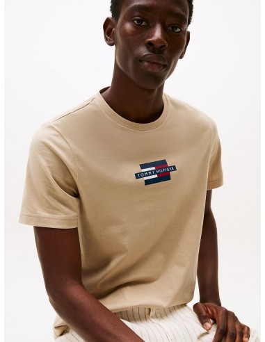Camiseta estampada con logo de Tommy...