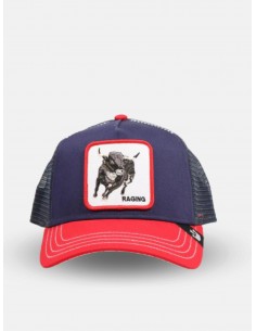 Gorra Raging Bull de Goorin