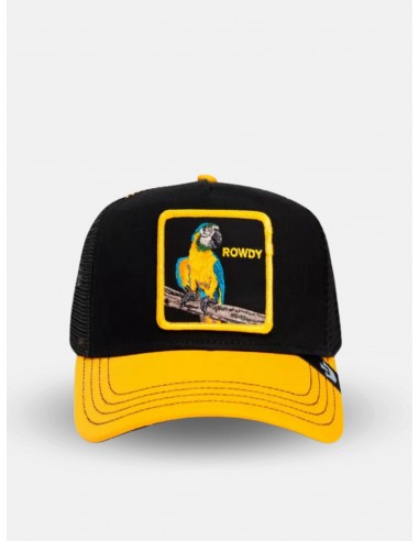 Gorra Goorin The Rowdy bird
