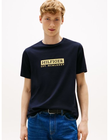 Tommy Hilfiger Graphic Tee