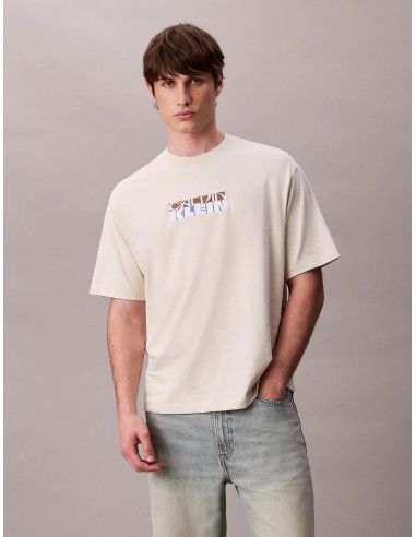 Calvin Klein Loose Fit Block Graphic...