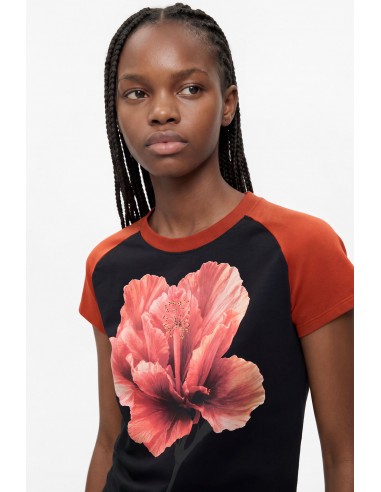 Camiseta Manga Corta Estampada de...